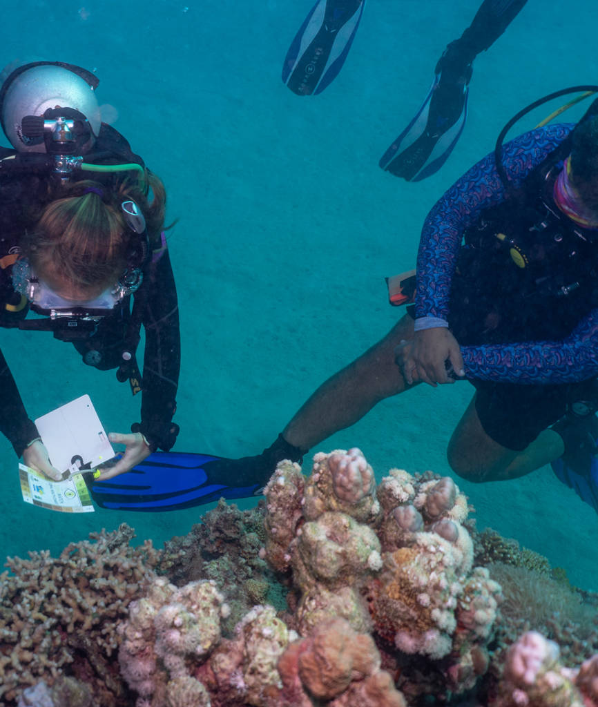 Aware Coral Reef Conservation