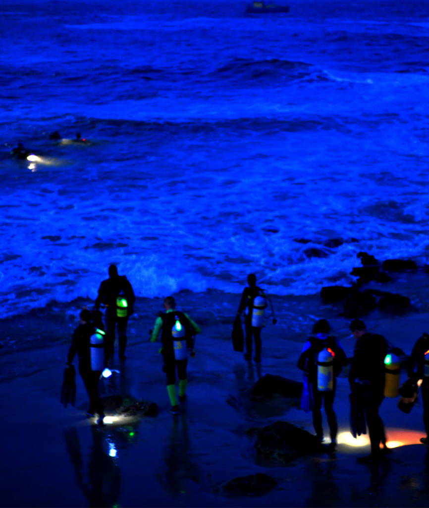Night Diver Specialty