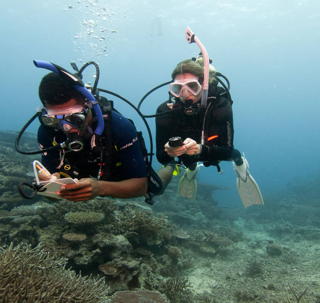 Under Water Navigation PADI Specialty