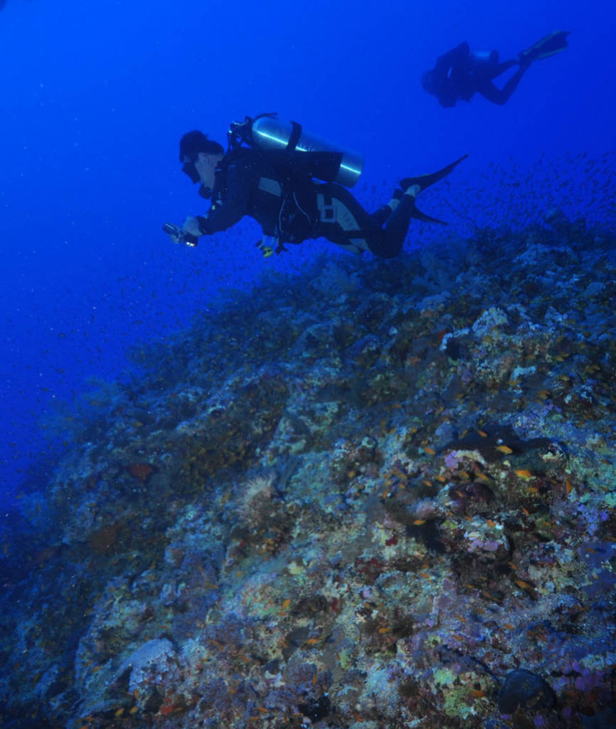 Deep Diver PADI Specialty