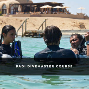 PADI Divemaster Course