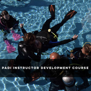 PADI Instructor Development Course