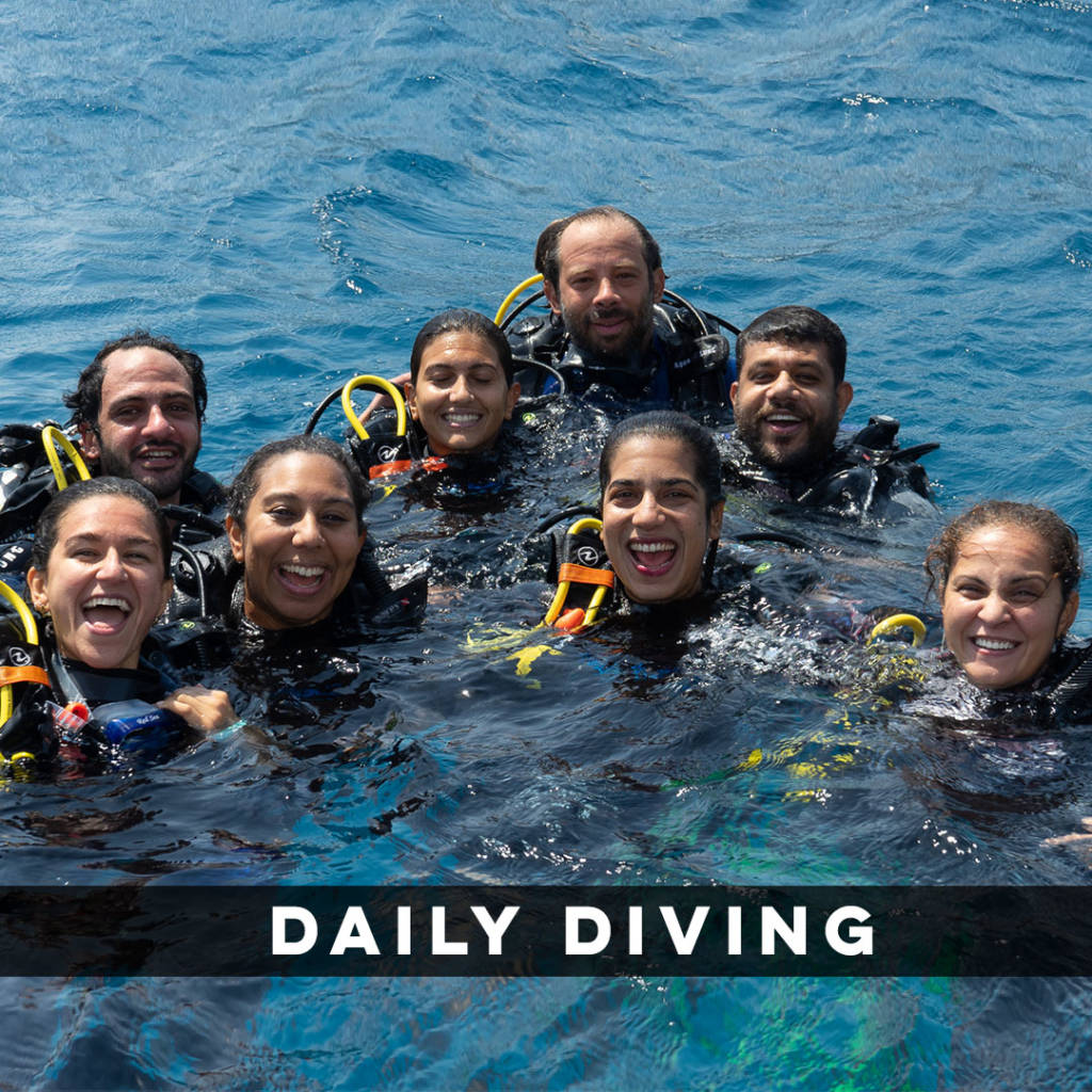 Daily Diving Daily Diving Red Sea Egypt