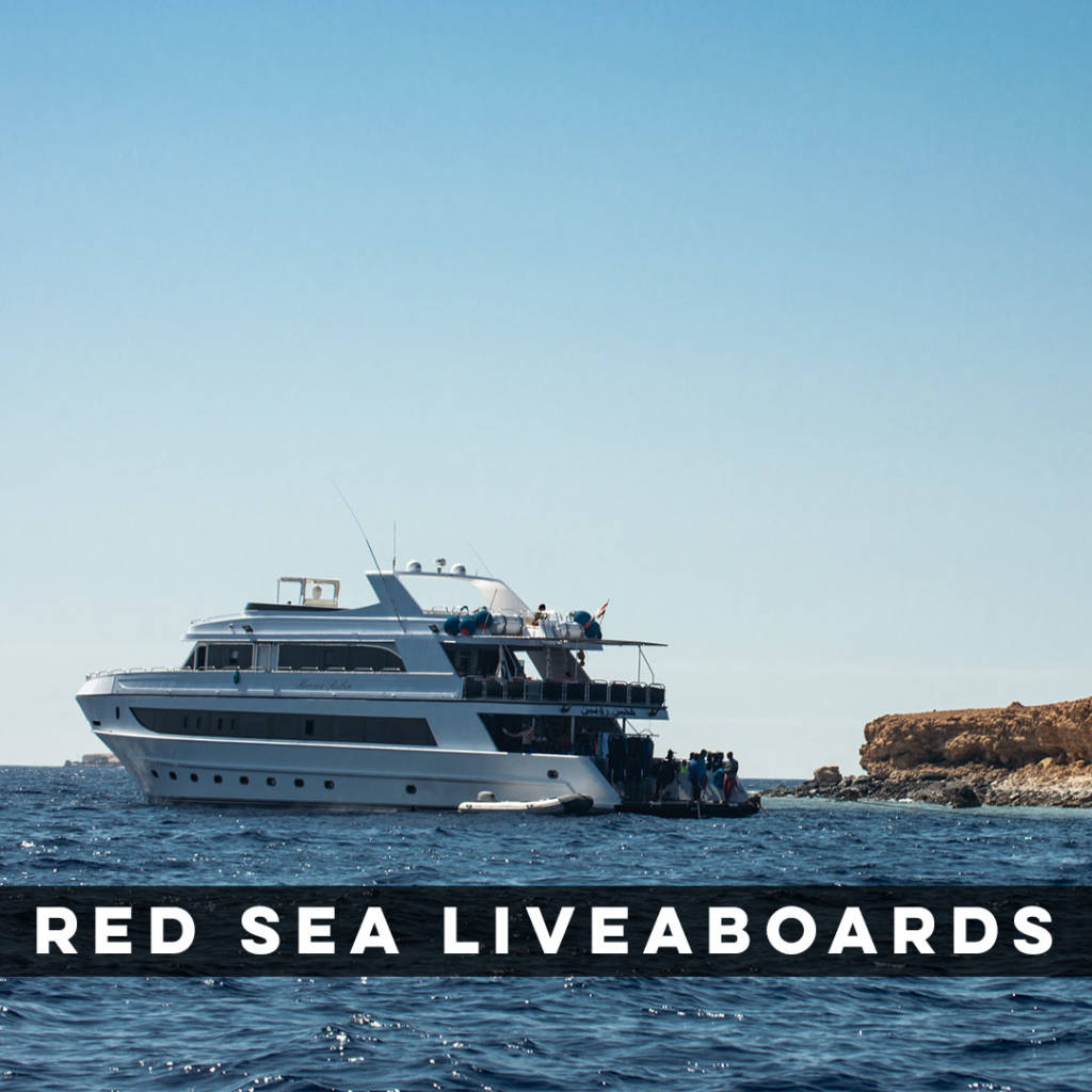 Red Sea Liveaboards Red Sea Liveaboards