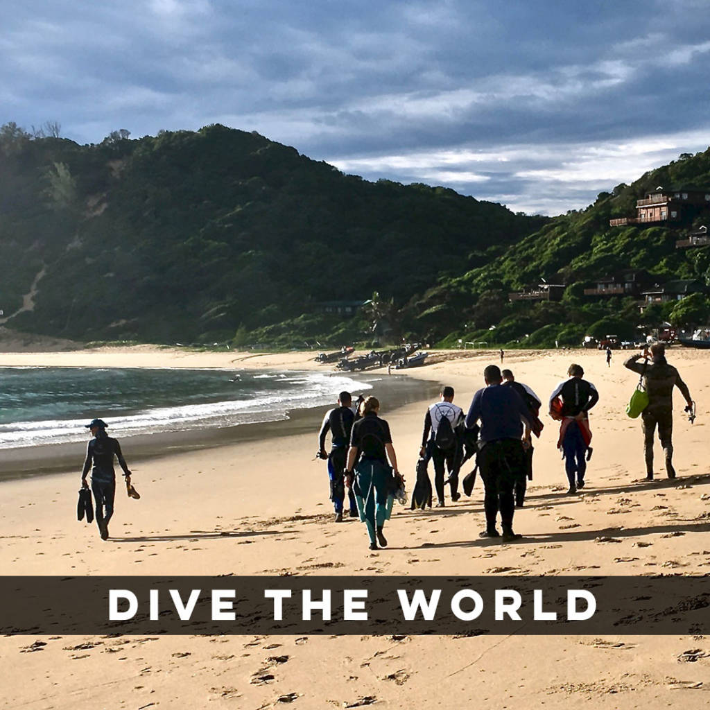 Dive the World Dive the World