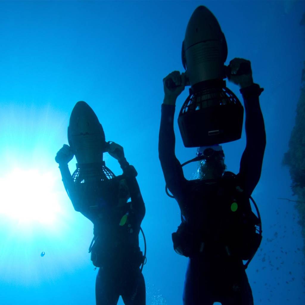 Speciality Instructor Training and MSDT