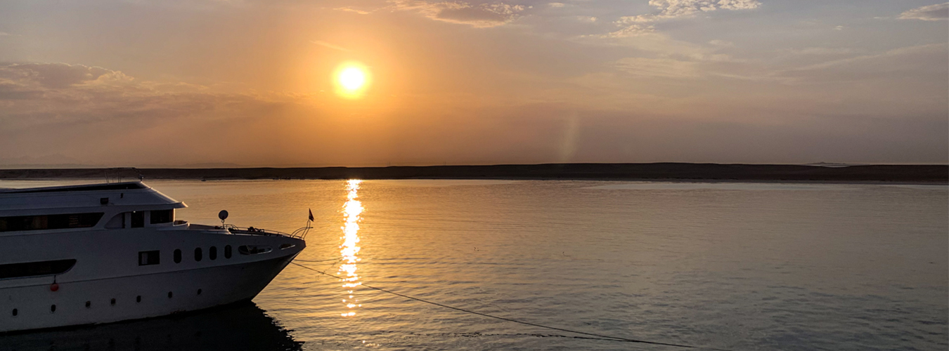 Red Sea Liveaboards and Diving Safaris